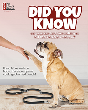 Nad pet services